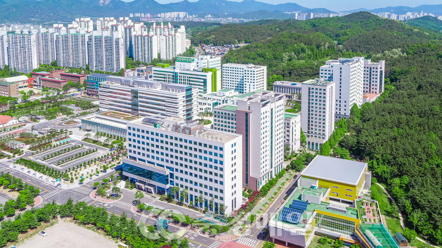 [뉴스1]취업률 전국 1위 건양대…'가르쳤으면 책임진다' 철학 결실